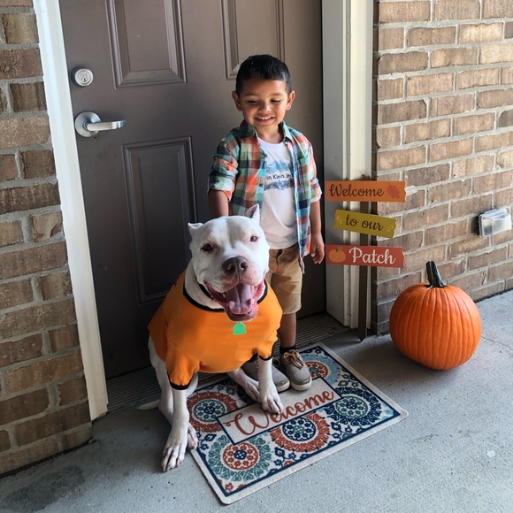 Meet your Posher, Ahlima - Picture 8 of 8